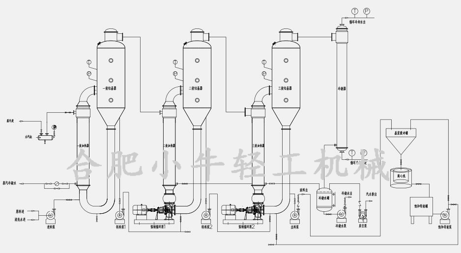 三效強(qiáng)制循環(huán)廢水蒸發(fā)結(jié)晶器